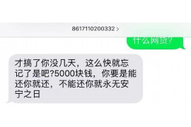 阜宁企业清欠服务